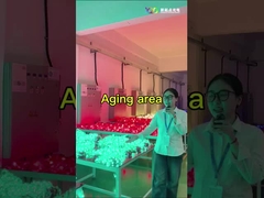 светодиодный сетевой экран