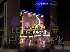 Внутренний P100 Гибкий светодиодный сетчатый экран Дисплей светодиодный точечный свет Прозрачный