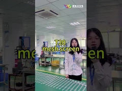 T20-2LEDs Mesh LED Pixel Screen CE RoHS FCC Внешний прозрачный высокая яркость