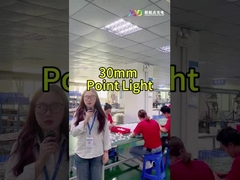 Ландшафтные цветные светодиодные точечные огни Smd5050 IP67 24v для освещения праздников
